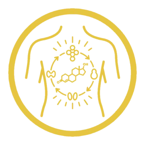 Hormonelle Unterstützung