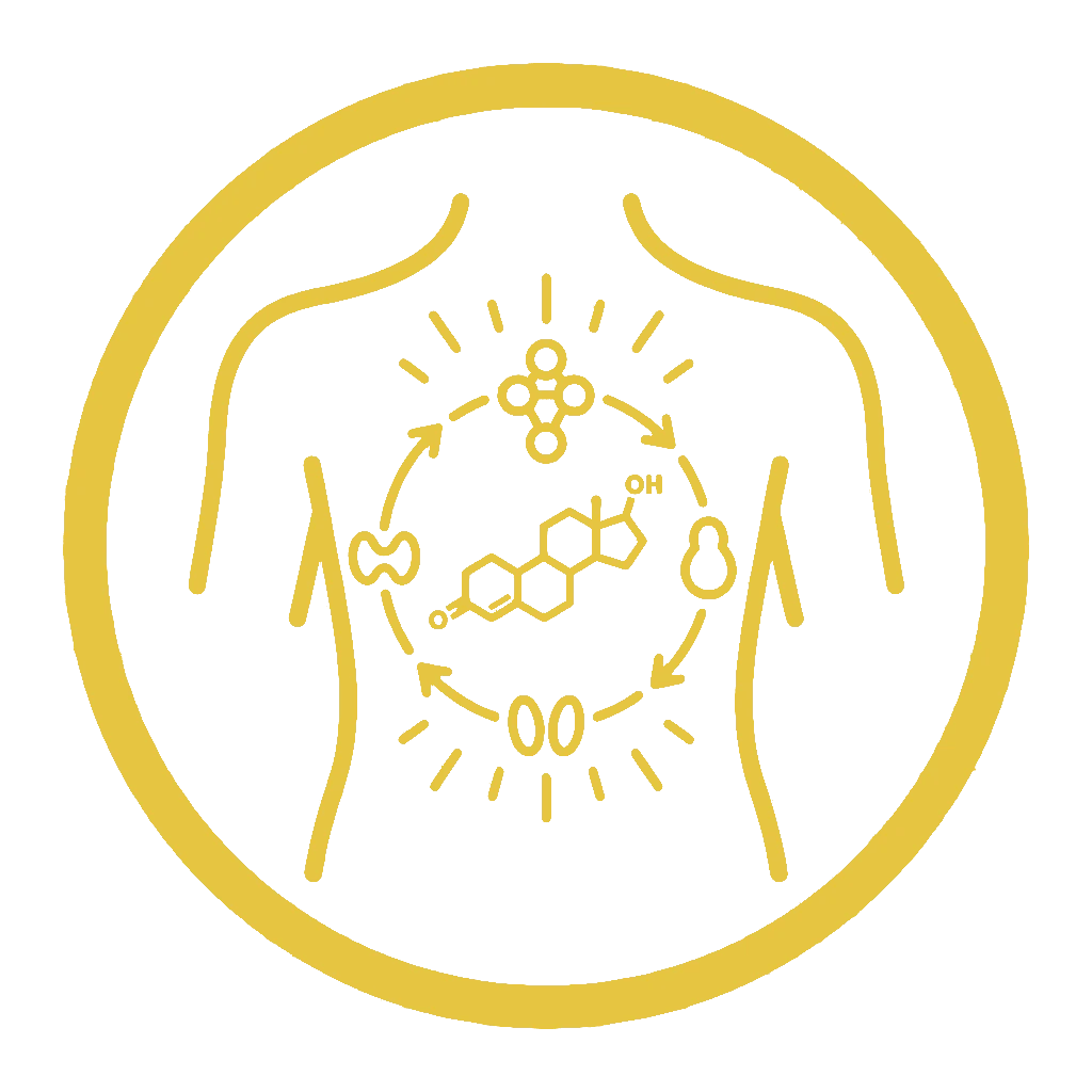 Hormonelle Unterstützung